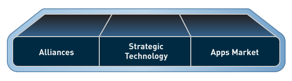 3 types of Jive Partners